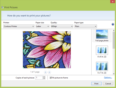 Print Pictures dialog box in Windows Photo Viewer