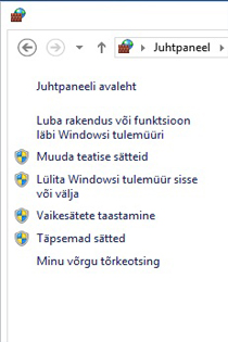 Windowsi tulemüüri vasakpoolne paan