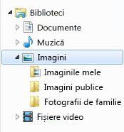 Panoul de navigare din Explorer, afișând biblioteca de imagini cu un folder suplimentar adăugat